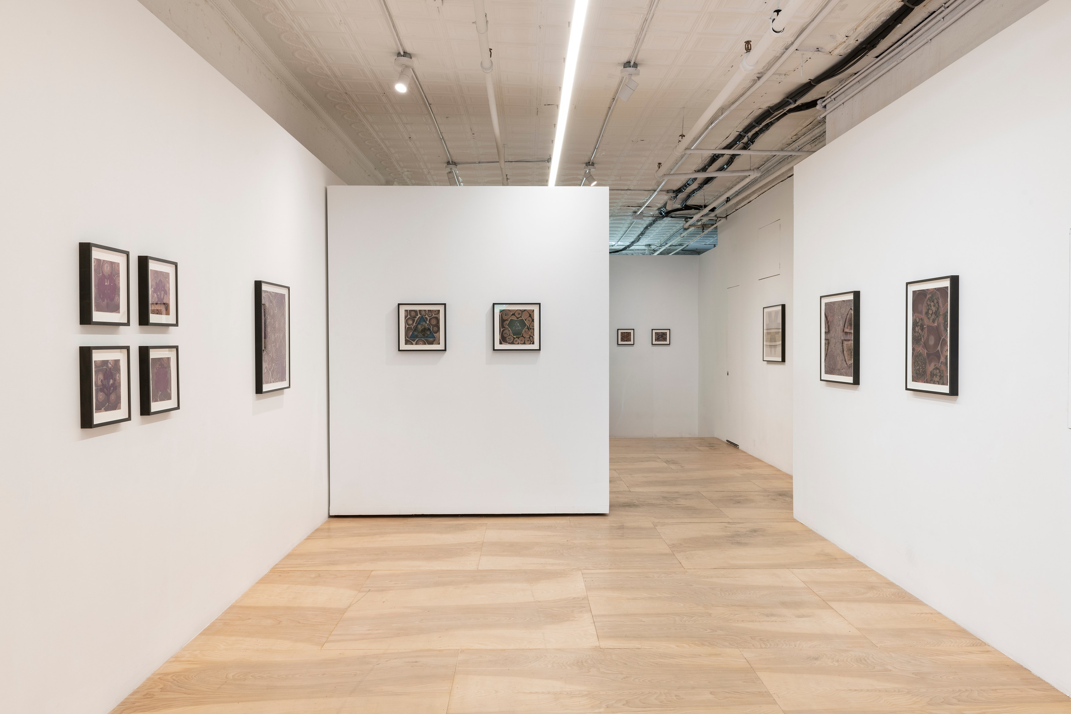 Zoe Pettijohn Schade, The Hard Problem at Kai Matsumiya, photo 10