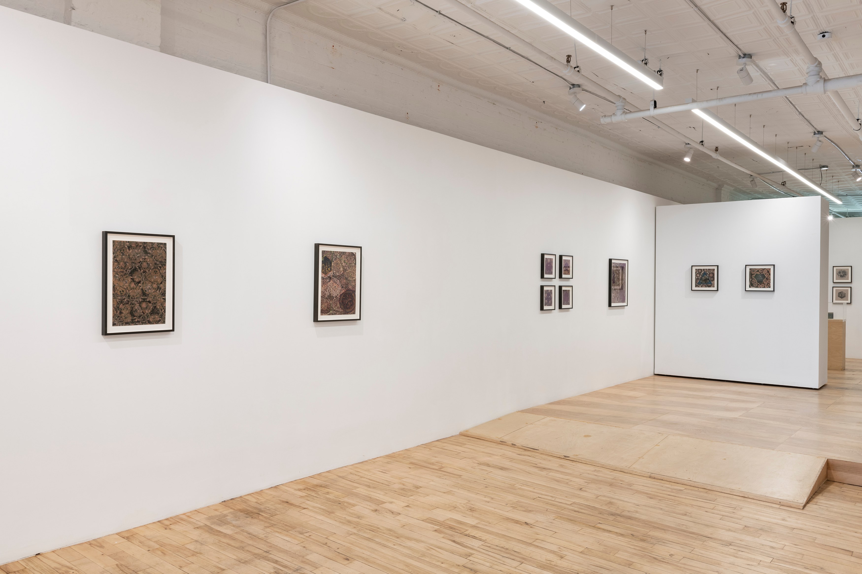 Zoe Pettijohn Schade, The Hard Problem at Kai Matsumiya, photo 15
