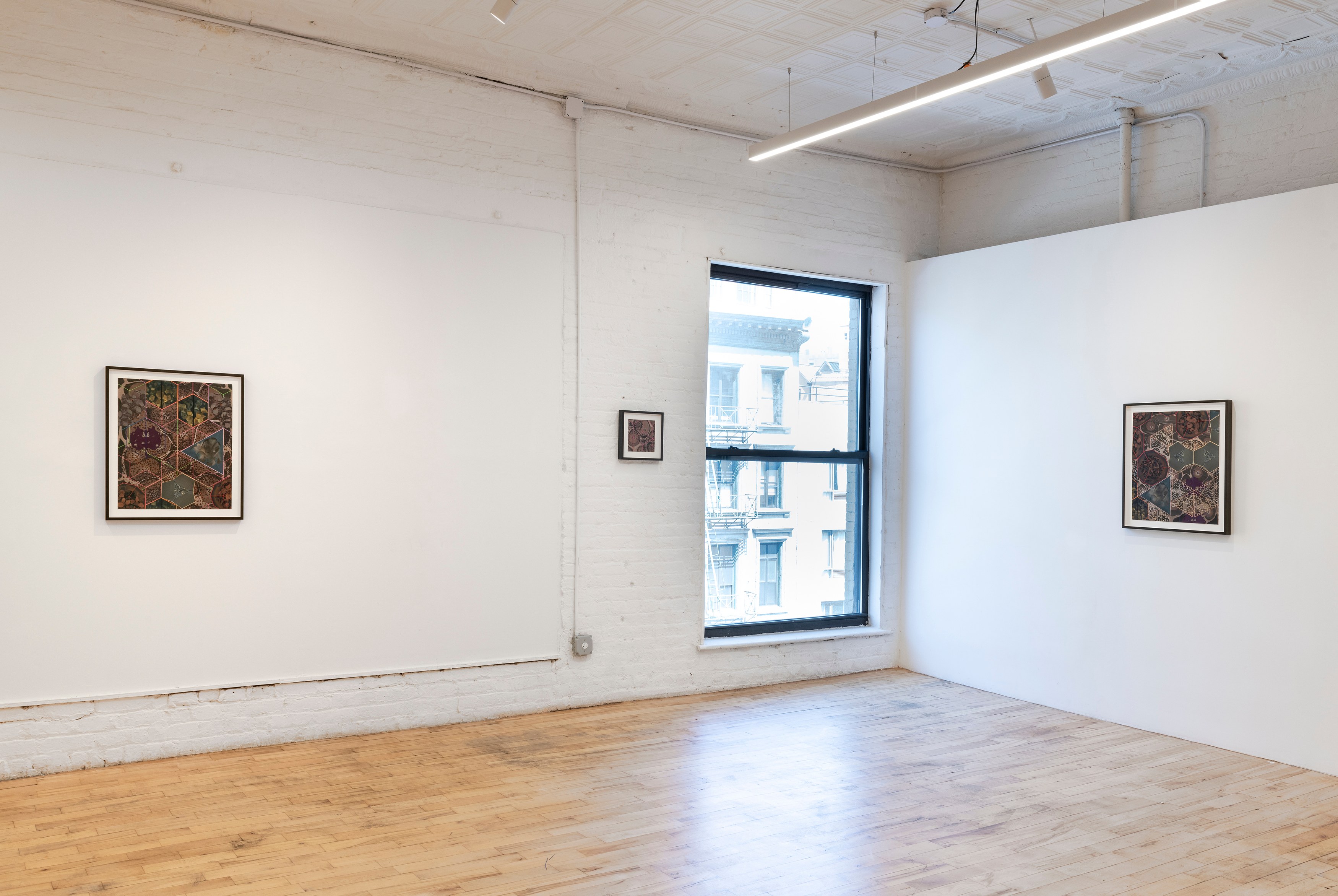 Zoe Pettijohn Schade, The Hard Problem at Kai Matsumiya, photo 16