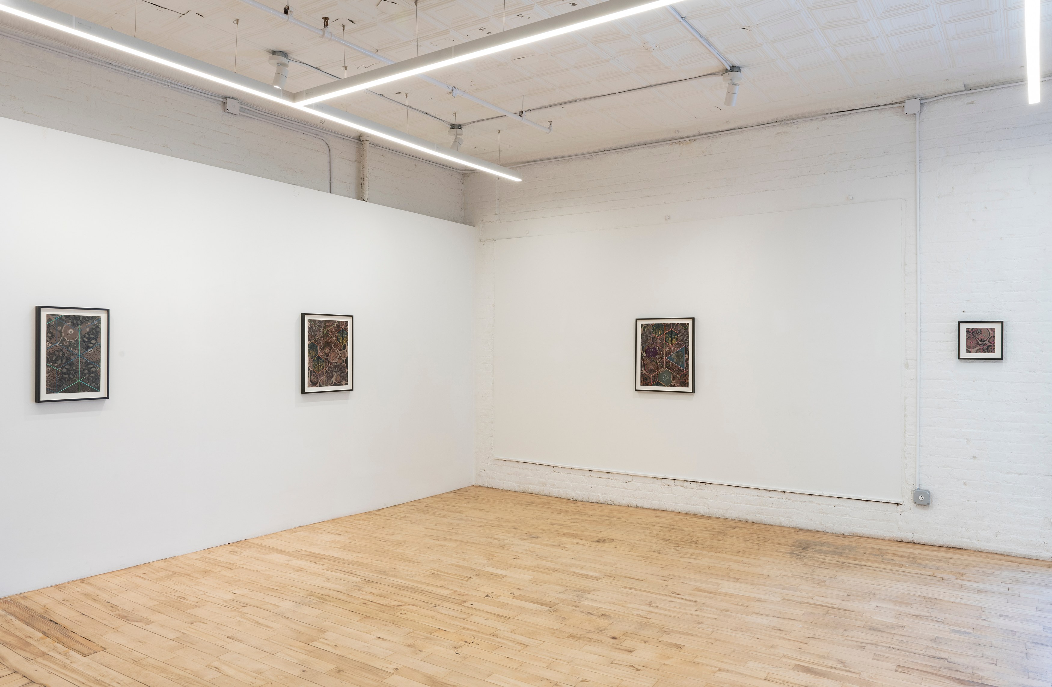 Zoe Pettijohn Schade, The Hard Problem at Kai Matsumiya, photo 18