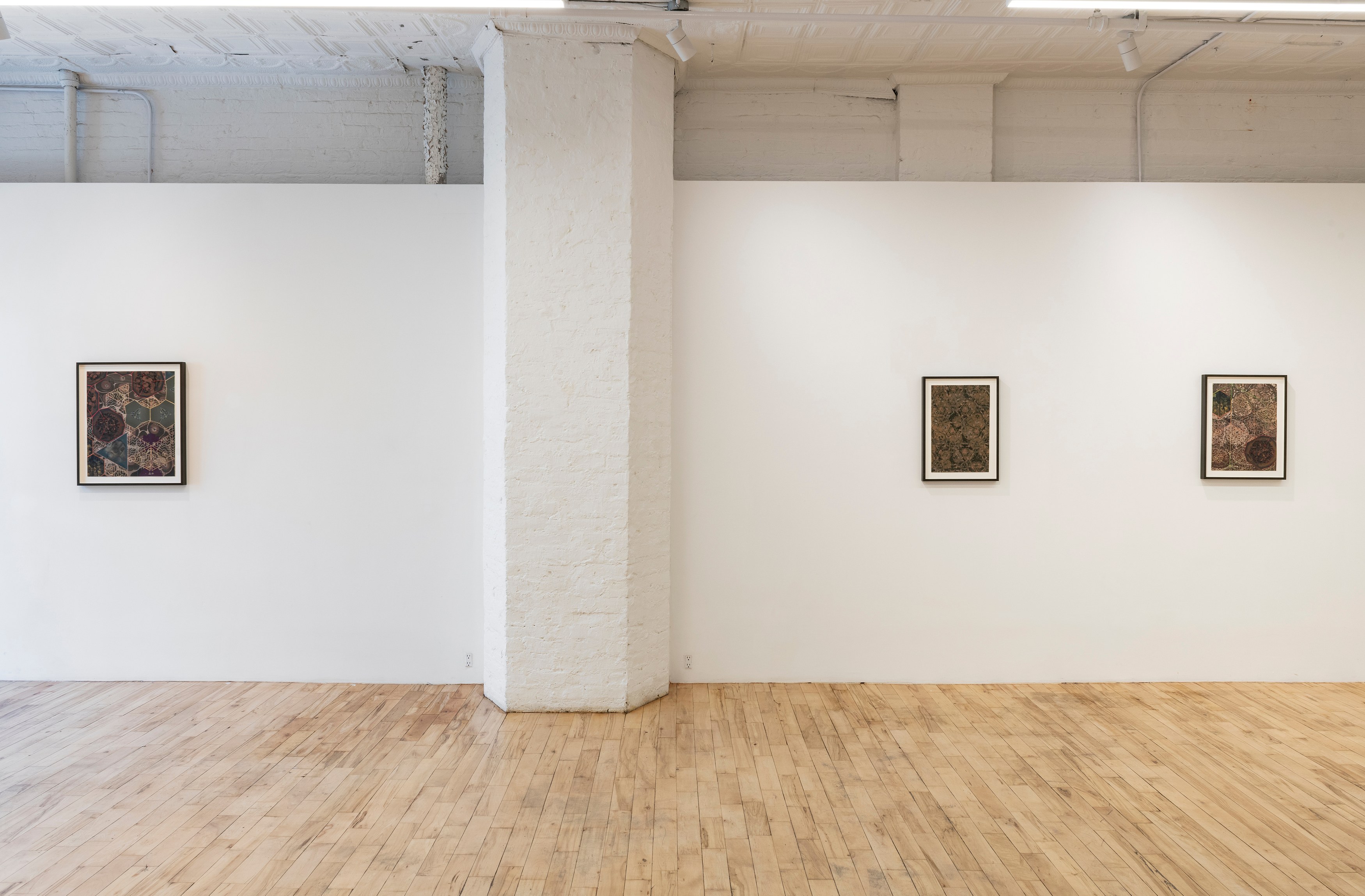 Zoe Pettijohn Schade, The Hard Problem at Kai Matsumiya, photo 17