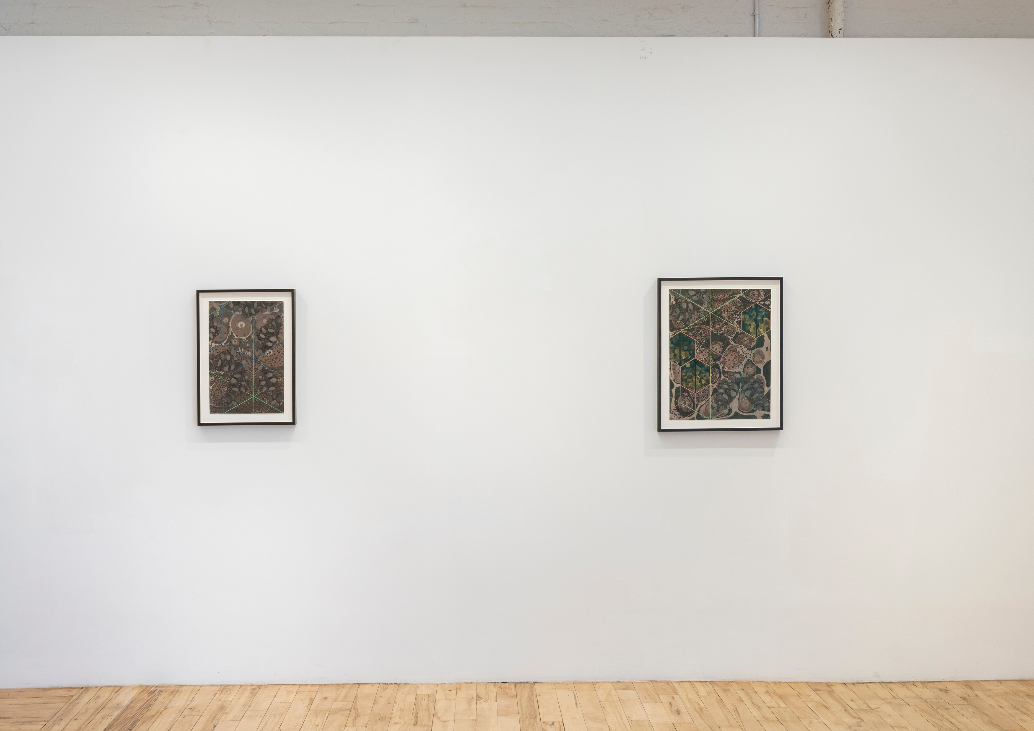 Zoe Pettijohn Schade, The Hard Problem at Kai Matsumiya, photo 19