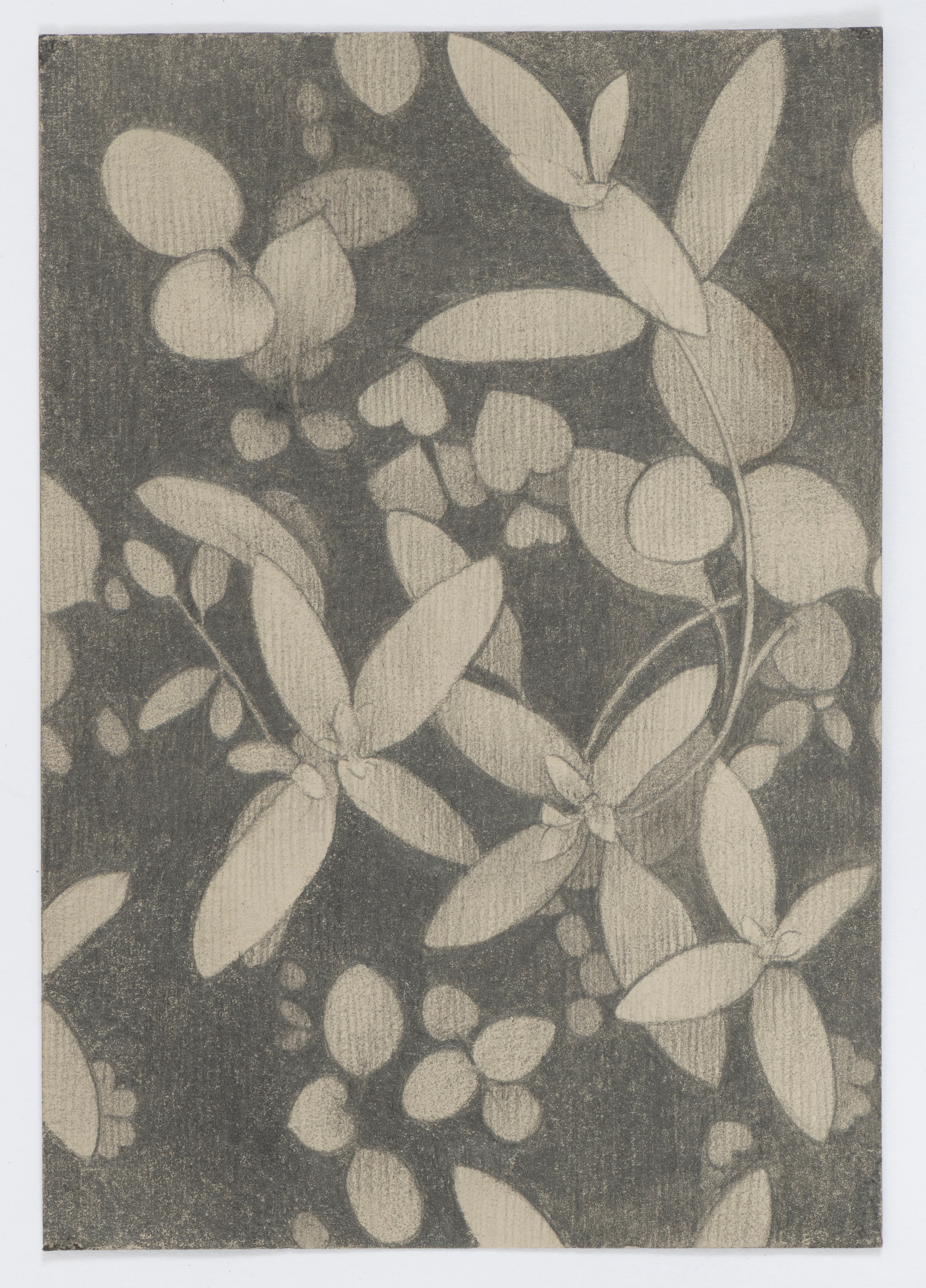 Zoe Pettijohn Schade, The Hard Problem at Kai Matsumiya, photo 77