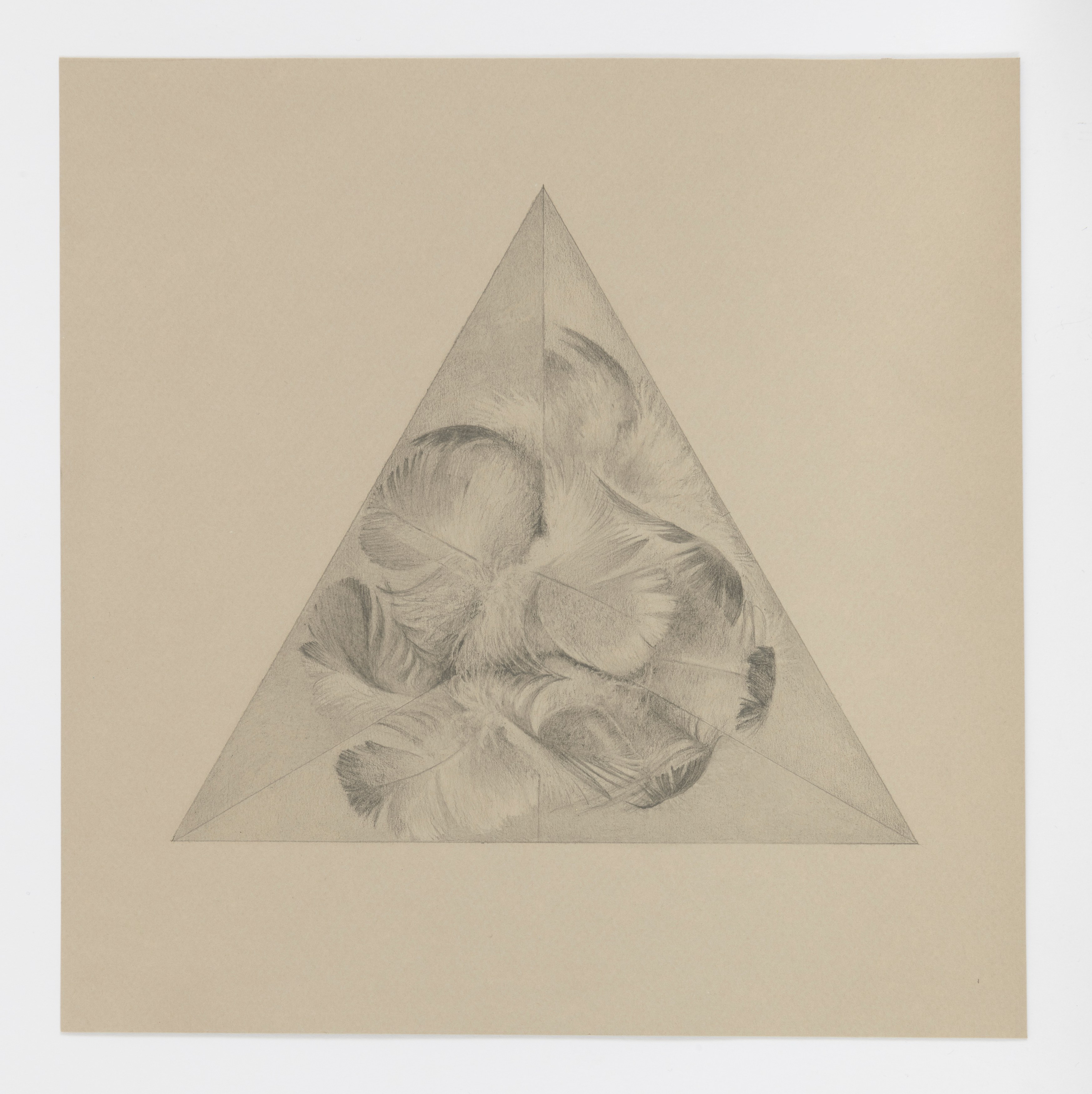Zoe Pettijohn Schade, The Hard Problem at Kai Matsumiya, photo 82