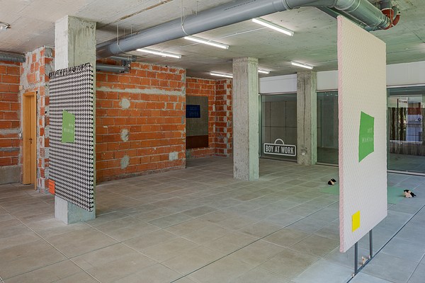 Image 19 of 31