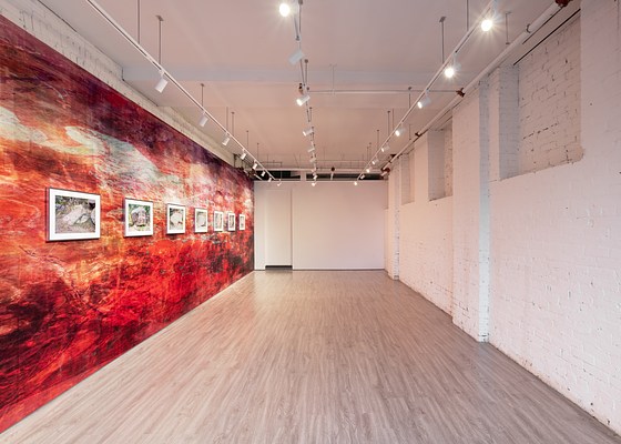 Image 1 of 20