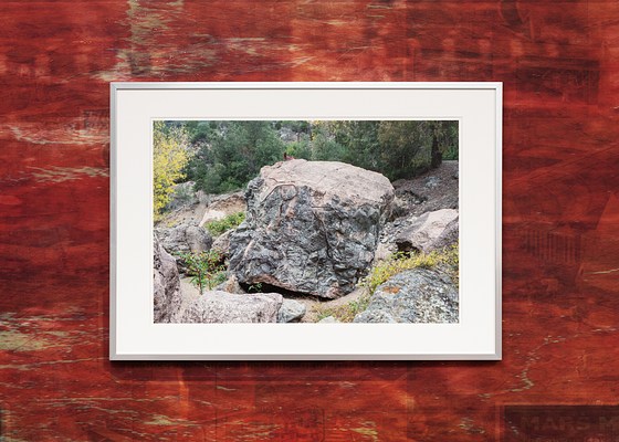 Image 7 of 20