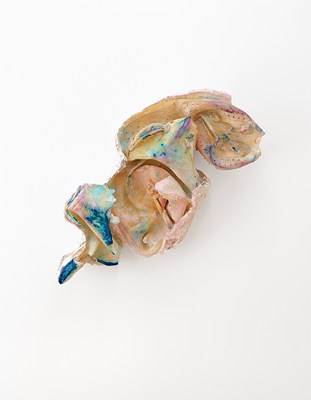 Image 12 of 16
