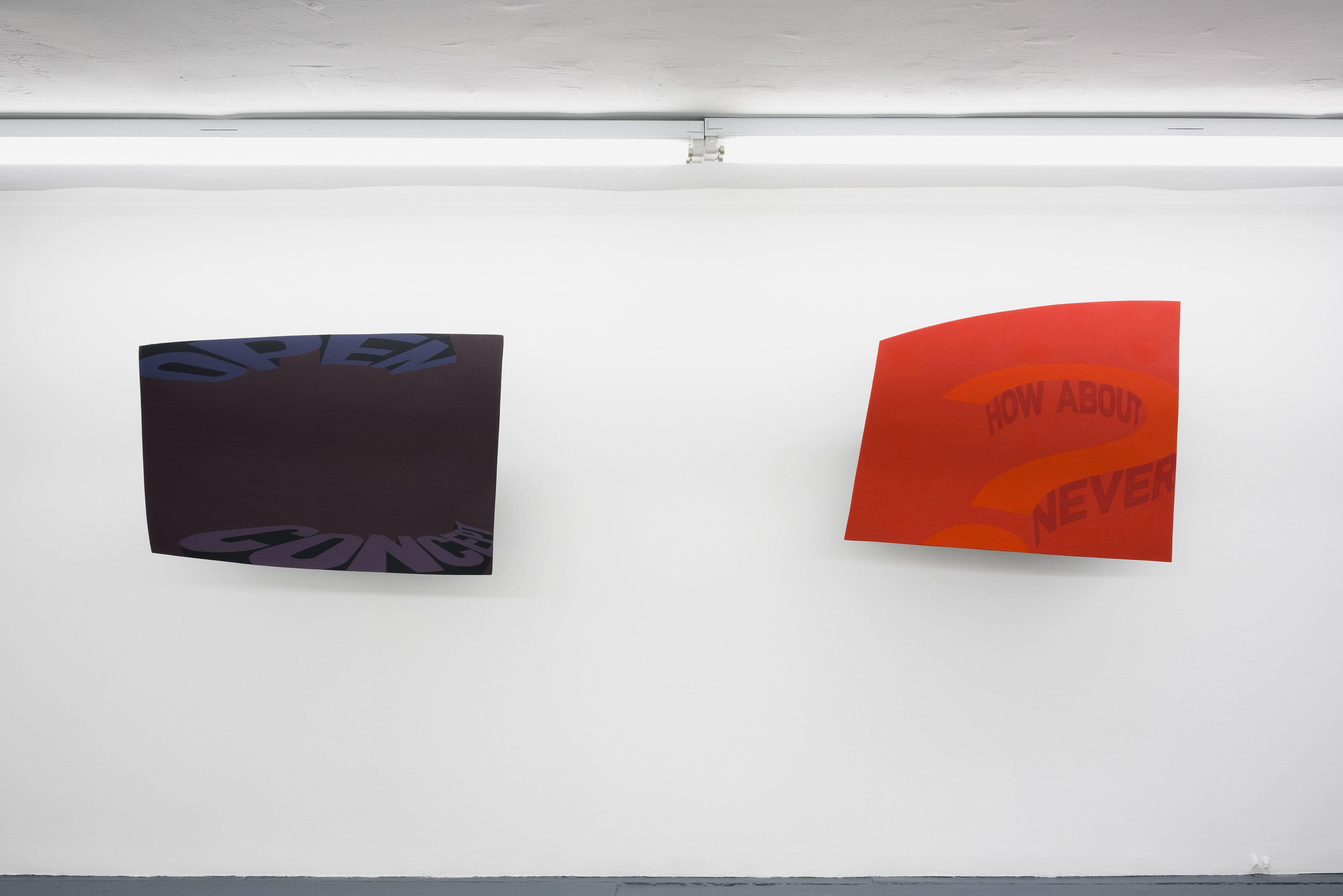 Nancy Dwyer, How About Never? at Theta, New York and From the Desk of Lucy Bull, New York, photo 7