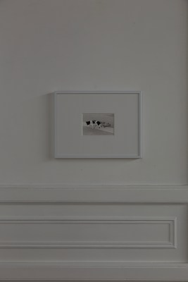 Image 16 of 16