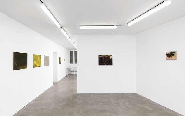 Image 1 of 23