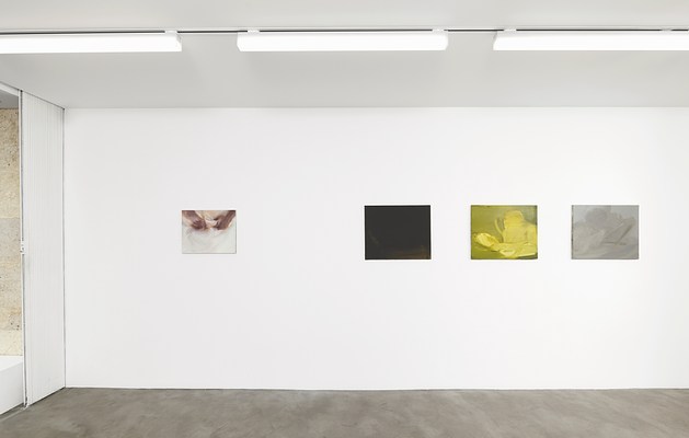 Image 7 of 23