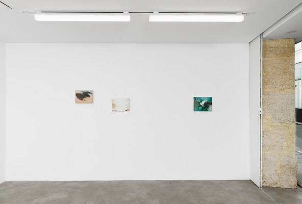 Image 8 of 23