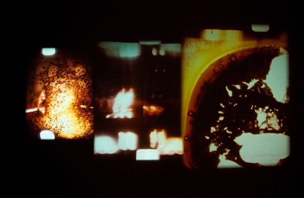 Image 14 of 21