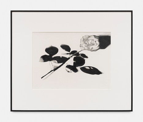 Image 19 of 29