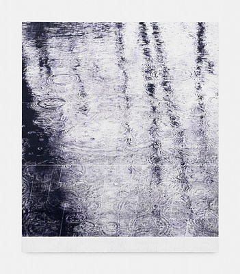 Image 11 of 14