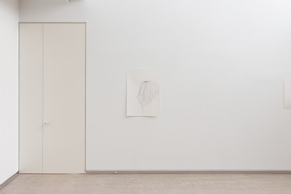Image 17 of 46