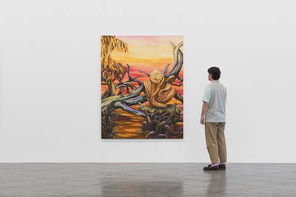 Image 12 of 23