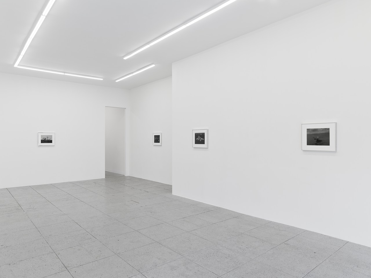 Wolfgang Tillmans: To look without fear is now open at