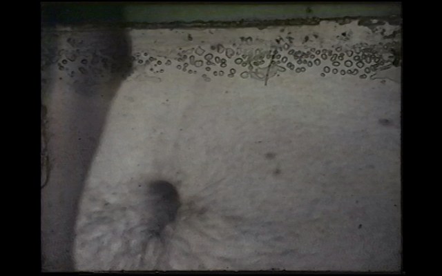 Image 4 of 21