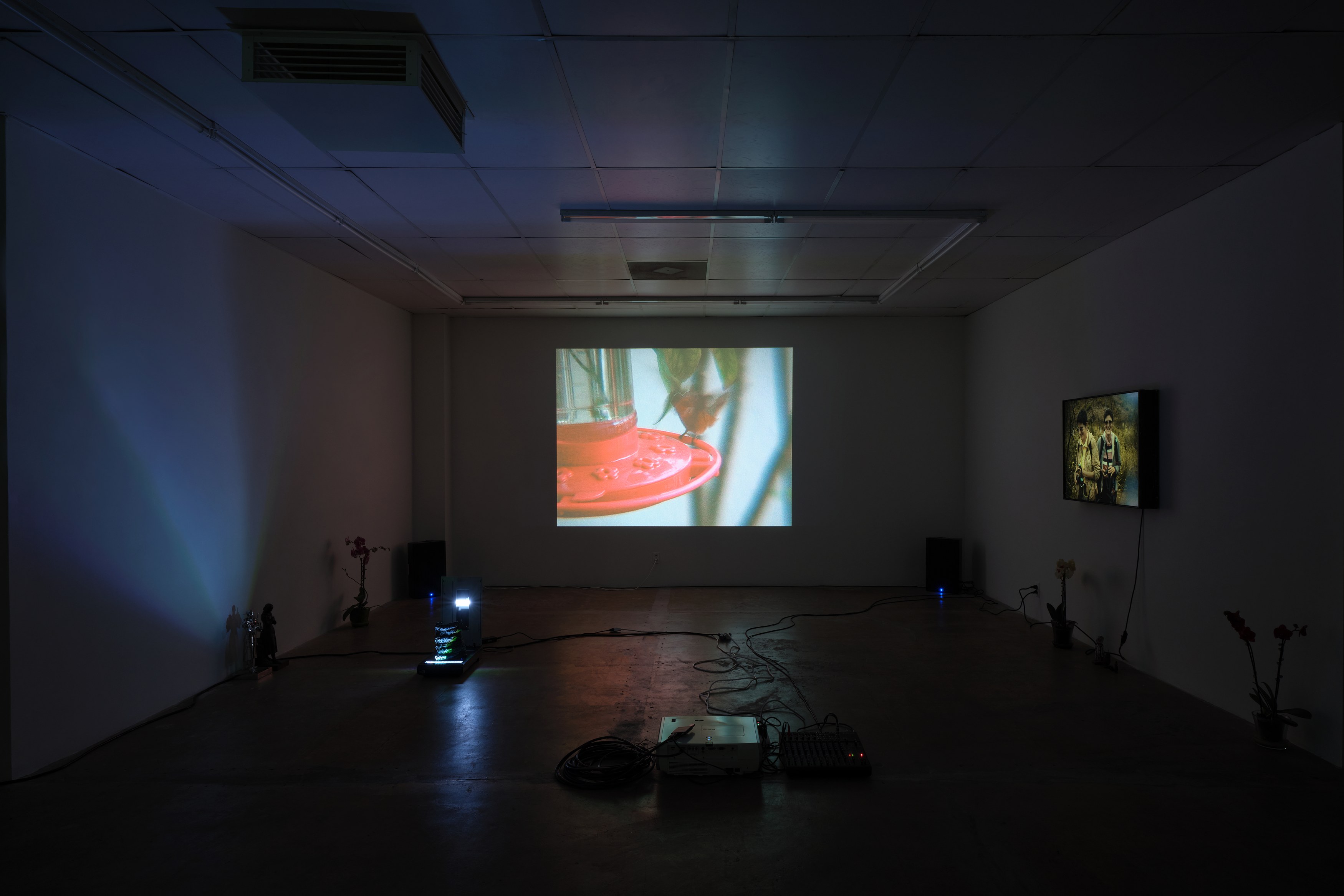 Juliana Halpert, Parker Ito, Au Jus at Bel Ami, photo 35