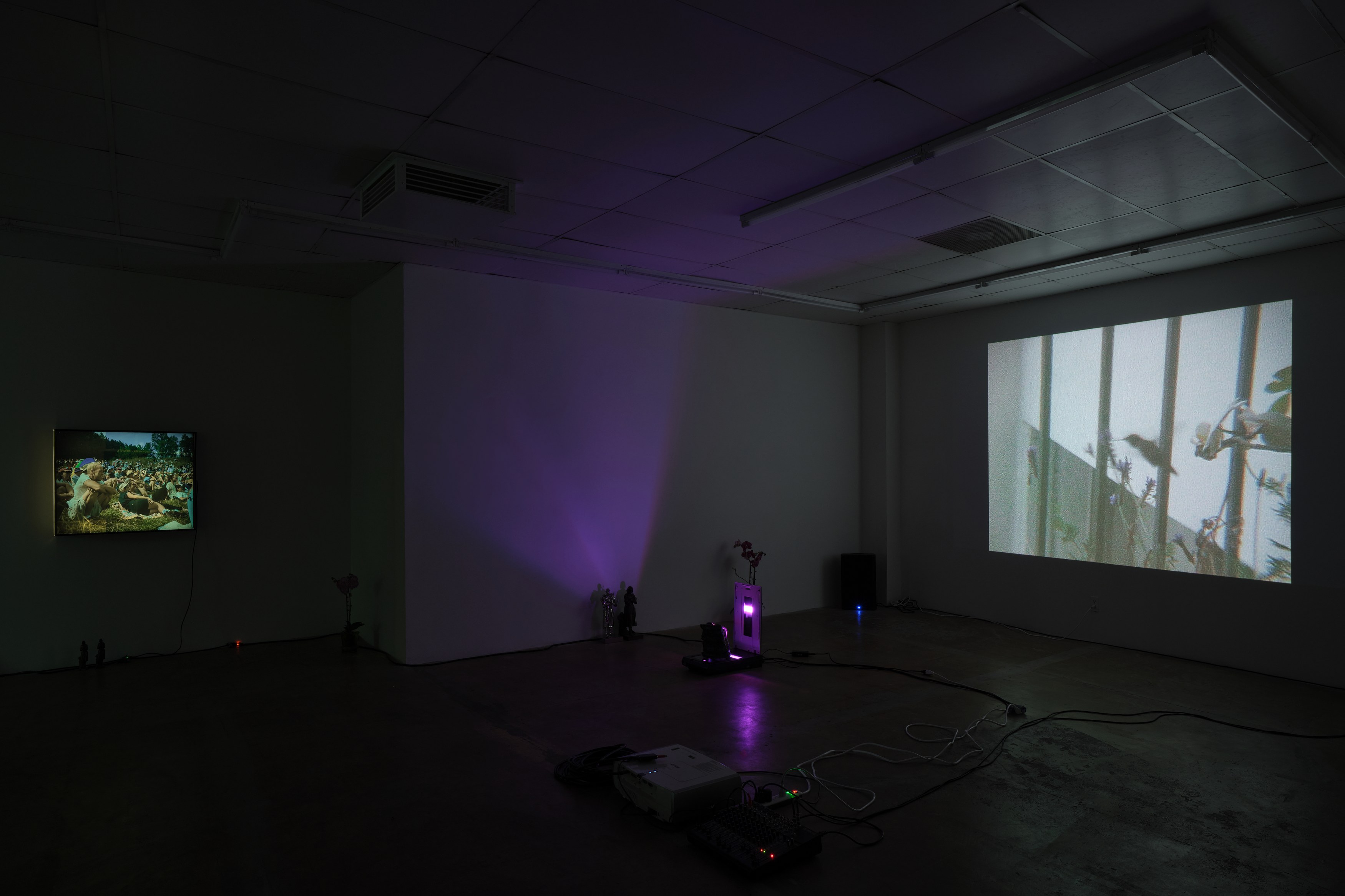 Juliana Halpert, Parker Ito, Au Jus at Bel Ami, photo 37