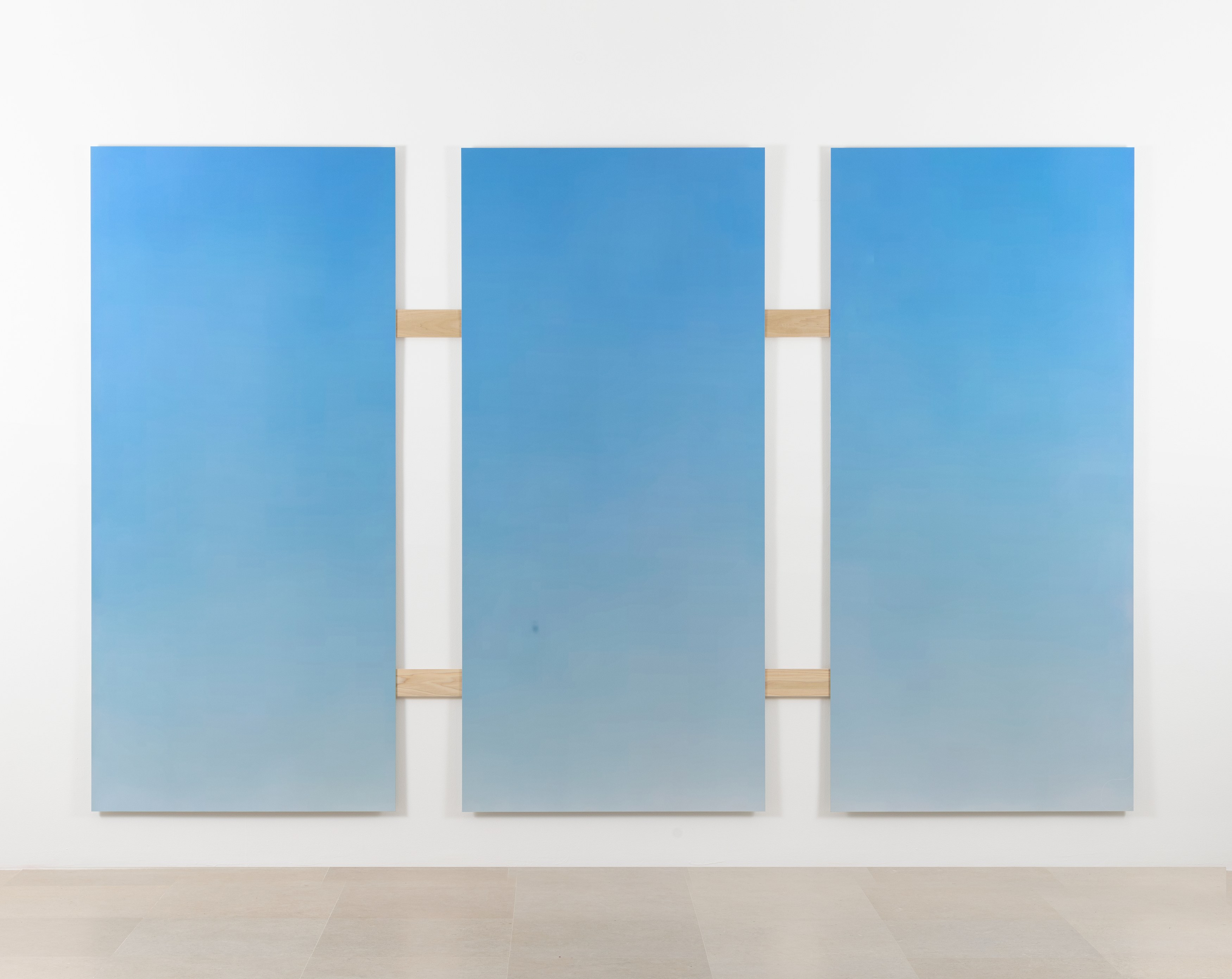 Aria Dean, Figuer Sucia at Greene Naftali, photo 11