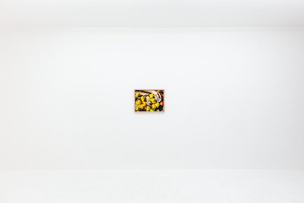 Image 11 of 34