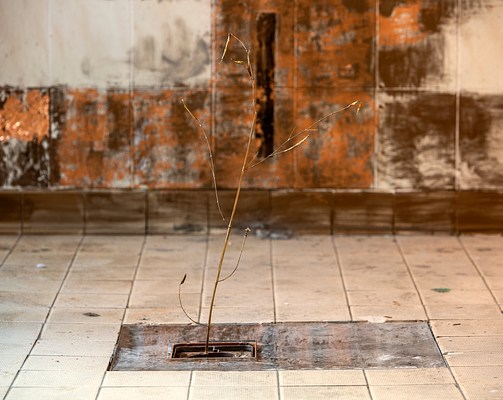 Image 28 of 40