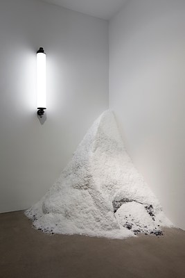 Image 7 of 7