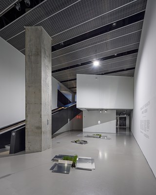 Image 6 of 53