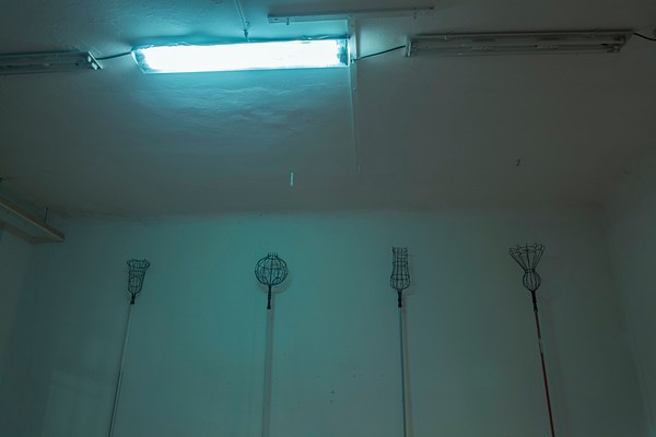 Image 4 of 16
