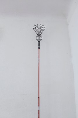 Image 14 of 16