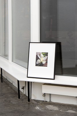 Image 22 of 30