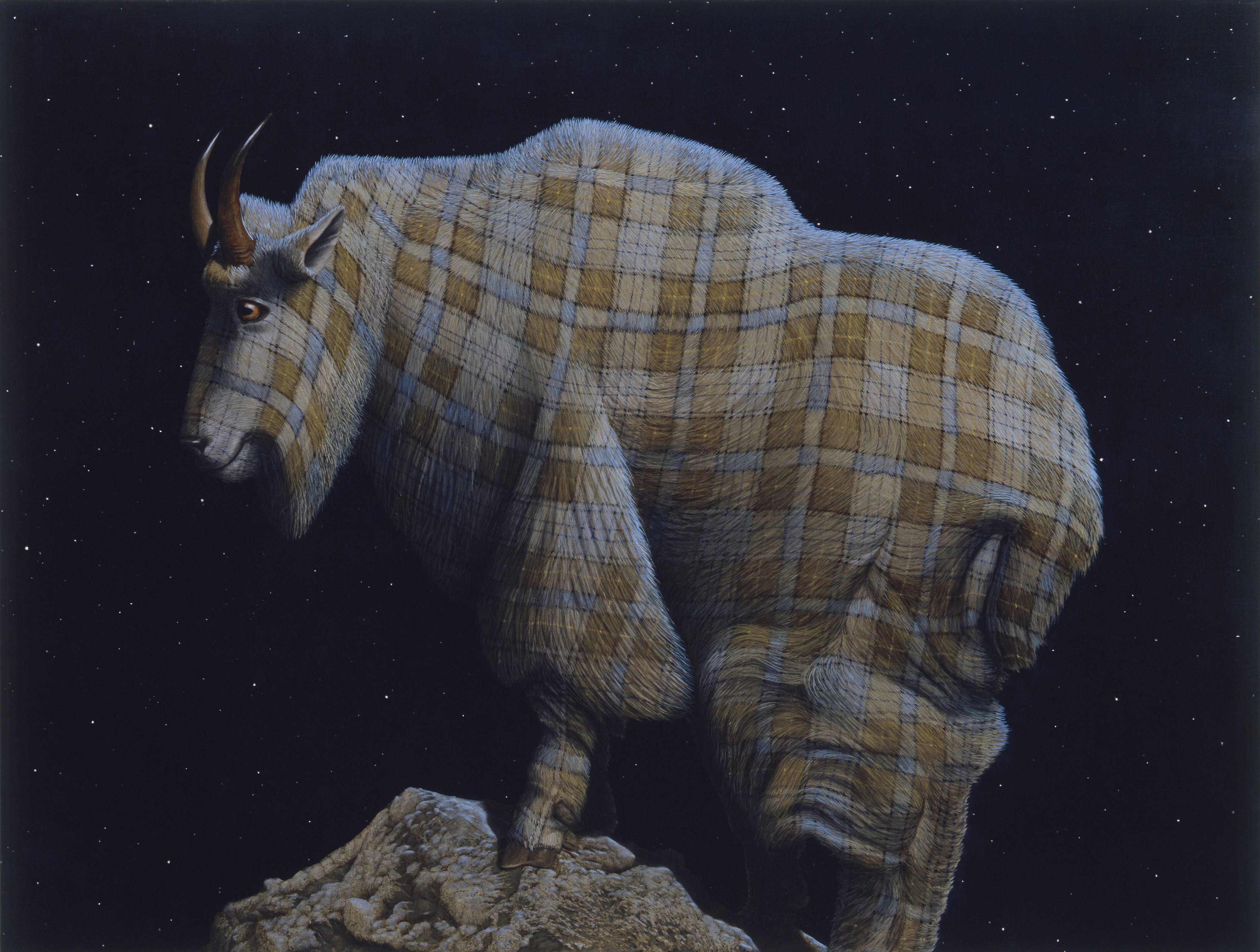 Sean Landers, North American Mammals at Petzel, photo 31