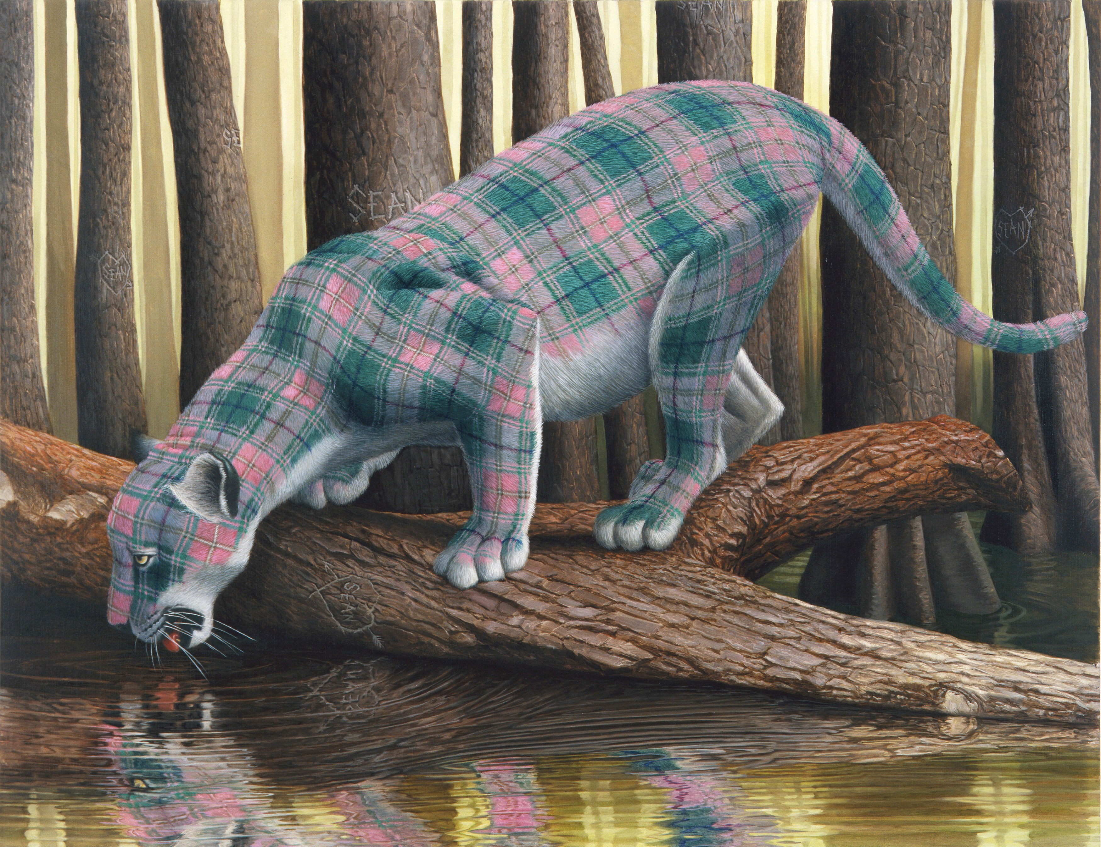 Sean Landers, North American Mammals at Petzel, photo 28