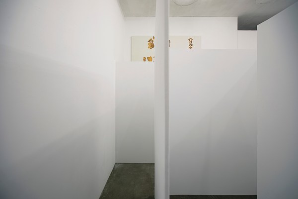 Image 4 of 12