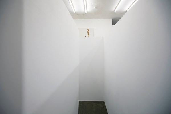 Image 7 of 12
