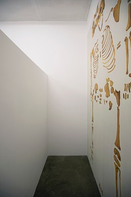 Image 11 of 12