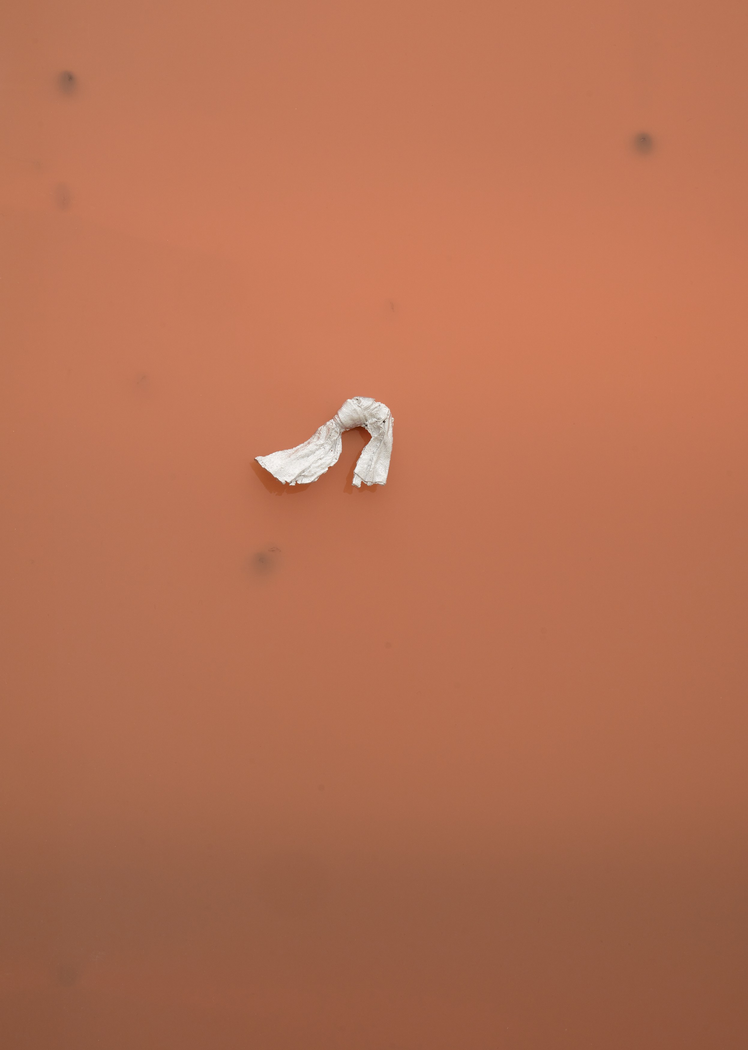 Ideal Shapes of Disappearing, Ideal Shapes of Disappearing at Silke Lindner, photo 23