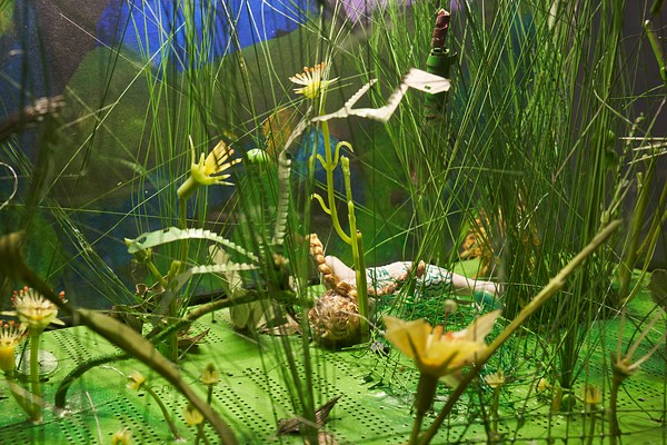 Image 13 of 36
