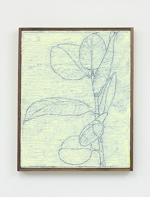 Image 13 of 14