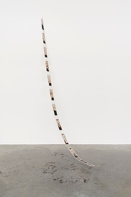 Image 4 of 20