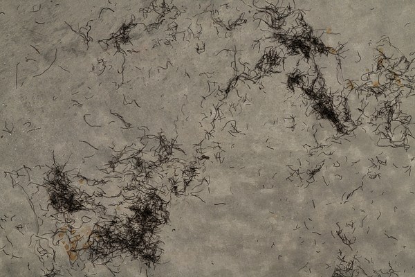Image 9 of 20