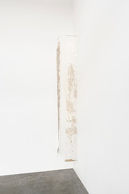 Image 12 of 20
