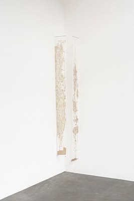 Image 10 of 20