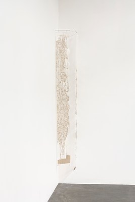 Image 11 of 20