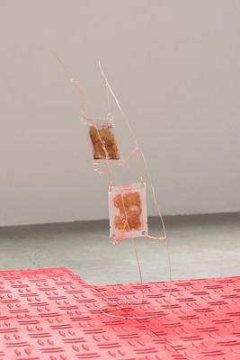 Image 15 of 20