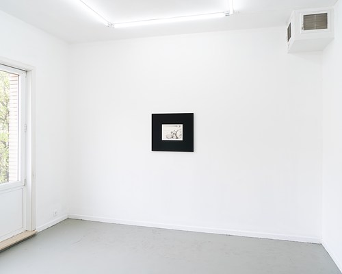 Image 2 of 19
