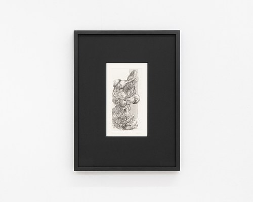 Image 9 of 19